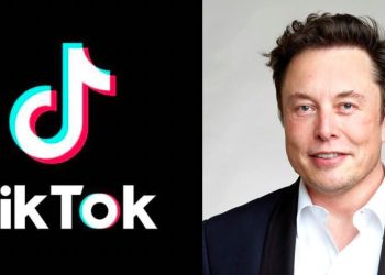মাস্কের কাছে টিকটকের মার্কিন ব্যবসায় বিক্রিতে আগ্রহী চীন