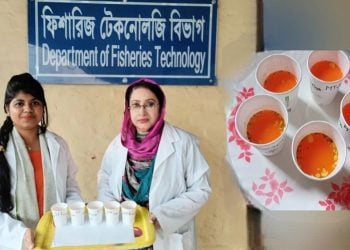 মাছের উচ্ছিষ্ট থেকে ‘ফিশ স্টক’ ও ‘স্যুপ পাউডার’!