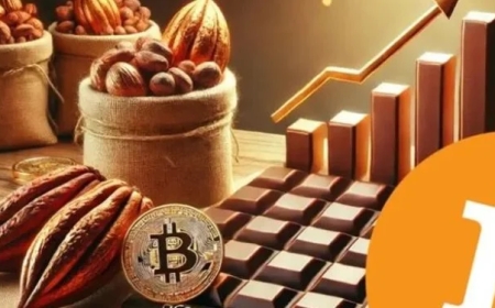 ১০ লাখ ডলার ছাড়িয়ে যাবে বিটকয়েনের দাম!