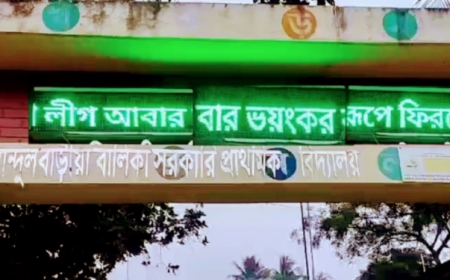 ডিজিটাল-সোশ্যাল ত্রাস বাড়ছেই