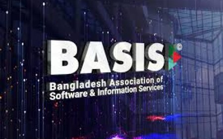 BASIS in Balance: Court Halts Administrator Appointment Amid Leadership Crisis