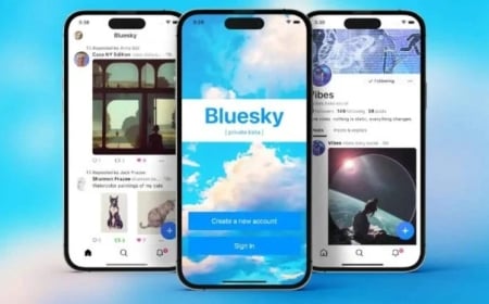 Bluesky Brings in Blue Checks: Decentralized Verification on the Horizon