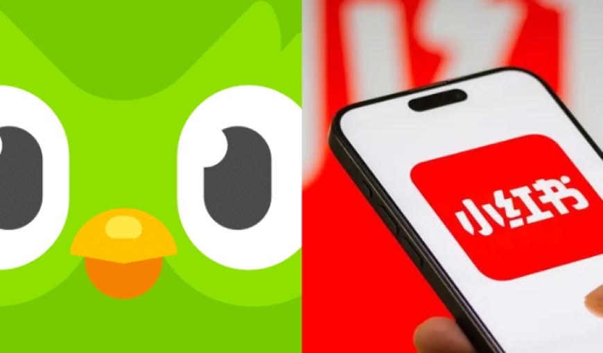 টিকটক নিষেধাজ্ঞার প্রভাবে কপাল খুলেছে ডুয়োলিংগোর