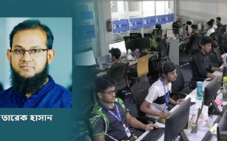 কেন দেশী আইটি কোম্পানিগুলো বিদেশমুখী?