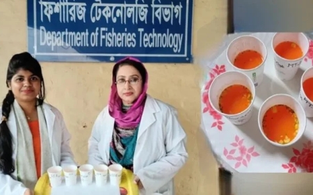Bangladeshi Researchers Develop Fish Soup Powder and Fish Stock from Carp Byproducts