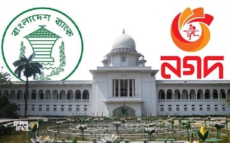 প্রশাসক নয়; নগদ চালাবে মূল মালিকপক্ষ