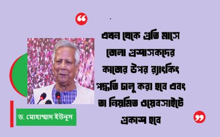 অনলাইনে সেবা বাড়ানোর তাগিদ প্রধান উপদেষ্টার