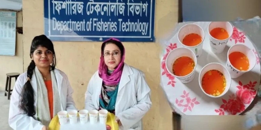 Bangladeshi Researchers Develop Fish Soup Powder and Fish Stock from Carp Byproducts