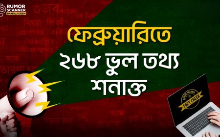 February's Falsehoods: Rumor Scanner Detects 268 Misinformation Cases