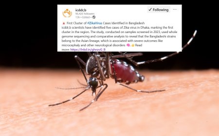 First-Ever Zika Virus Cluster Identified in Bangladesh
