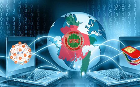 ইন্টারনেট সেবায় দেশীয় উদ্যোক্তা বনাম বিদেশী আধিপত্য