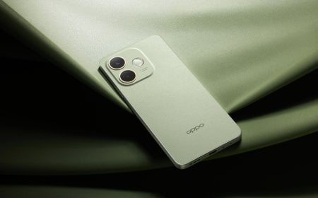 বাজারে আসছে  রাজসিক ফোন