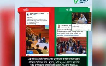 জাতিসংঘ টিমের সঙ্গে হাসিনার বৈঠকের ঘটনা পুরোনো ভিডিও: বাংলা ফ্যাক্ট