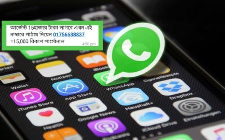 হোয়াটসঅ্যাপে হ্যাকিং ফাঁদ; টার্গেটে ‘সাংবাদিক’ ও ‘উপাচার্যরা’