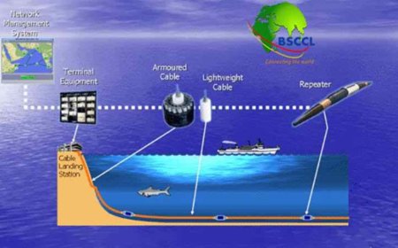 সাবমেরিন ক্যাবল কোম্পানির সব ধরনের ইন্টারনেটের দাম কমছে ১০ শতাংশ