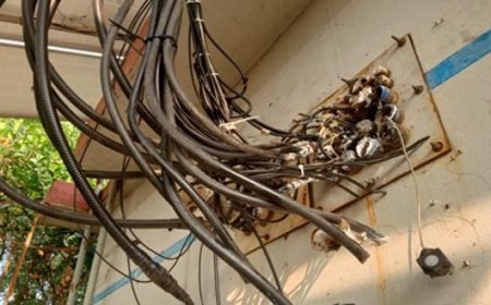 Robi’s Network in Peril Amid Sabotage in Chittagong Hill Tracts