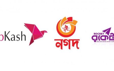 বিকাশ-নগদ-রকেটে দৈনিক ৫০ হাজার টাকা লেনদেন করা যাবে