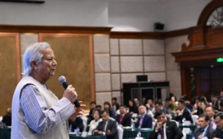 Chief Adviser Meets the Chinese IT Business Leaders