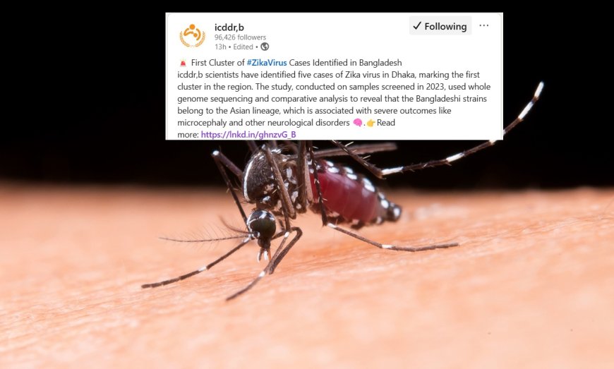 First-Ever Zika Virus Cluster Identified in Bangladesh