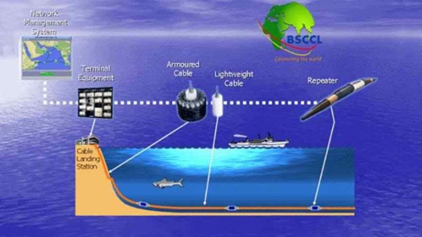 সাবমেরিন ক্যাবল কোম্পানির সব ধরনের ইন্টারনেটের দাম কমছে ১০ শতাংশ
