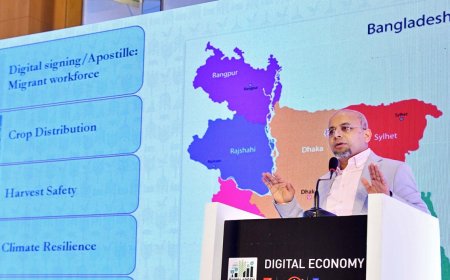 From Silos to Synergy: Special Adviser Outlines Vision for Interoperable Digital Future