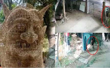 সিসিটিভি ফুটেজ- এআই-এ ফ্যাসিবাদের মোটিফে আগুন দেয়া ব্যক্তি সনাক্ত !