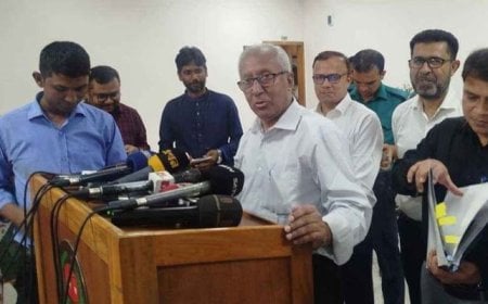 Diaspora Decision Deferred: Voting Methods for Expatriates Await April 20 Report