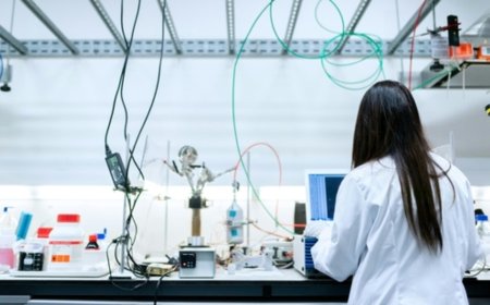 নতুন রং ওলো!