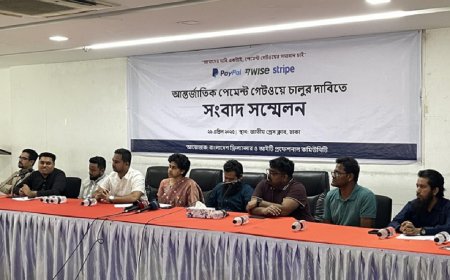 দেশে পেপ্যাল-ওয়াইজ সুবিধা চান ফ্রিল্যান্সাররা