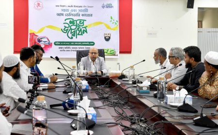 Mangoes Meet Metro: Qawmi Entrepreneurs Link Farmers to Dhaka Through Postal Network