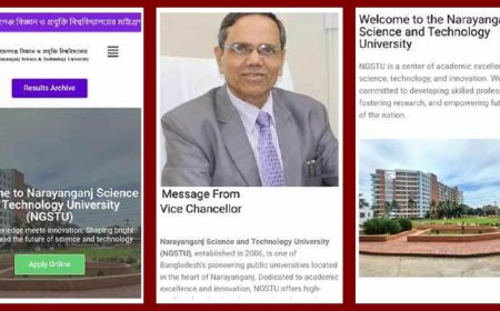 নারায়ণগঞ্জ বিশ্ববিদ্যালয়ের নামে ভুয়া ওয়েবসাইটেভর্তি বিজ্ঞপ্তি