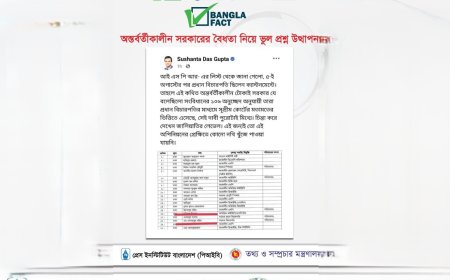 Falsehoods and Facebook: Fact-Check Debunks Claims on Interim Government Legality