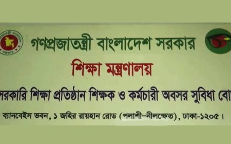 Server Snag Stalls Support: Delays Deepen for Retired MPO Teachers Amid Funding Crisis