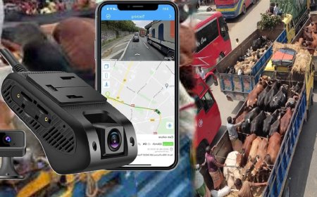 কোরবানির পশুবাহী ট্রাকে থাকবে জিপিএস ট্র্যাকার ও  ড্যাশ ক্যামেরা