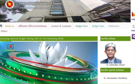 Virtual Vision: National Budget 2025–26 to Be Announced Online on June 2