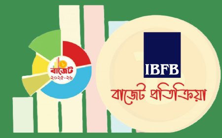 IBFB Flags Fiscal Flaws, Calls for Structural Reform in Proposed Budget