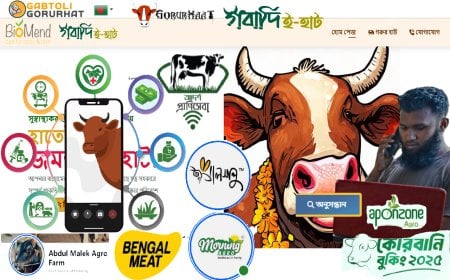 শেষ মুহূর্তে অনলাইনে ‘ভাগে’র কোরবানির চাহিদা বেড়েছে কয়েক গুণ