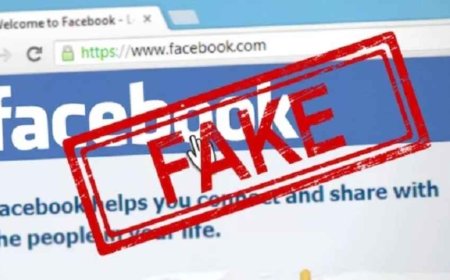 Fake Facebook Account Fuels Anti-Interim Government Propaganda