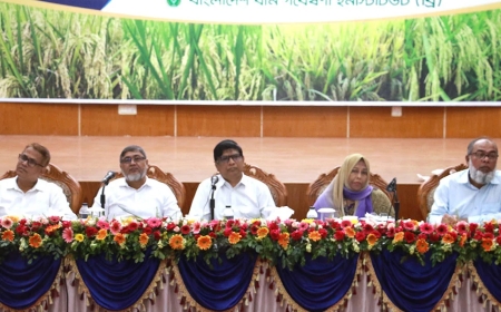 ১৫টি প্রযুক্তি গ্রাম গড়ছে ব্রি