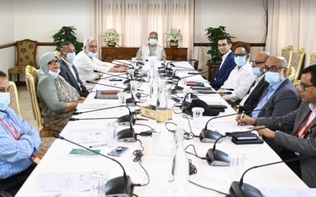 Yunus Urges Rooftop Revolution for Renewable Energy