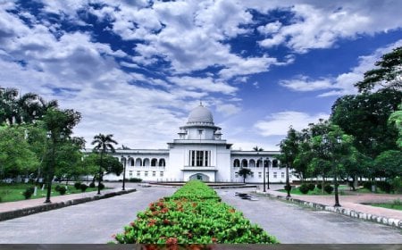 ভার্চুয়াল আদালতের প্রথম দিনে সুপ্রিম কোর্টে ১৭৭ মামলা নিষ্পত্তি