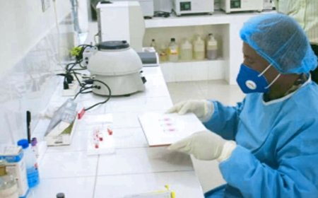 Brucellosis Breakthrough: Bangladeshi Researchers Leverage Machine Learning to Combat Zoonotic Threat