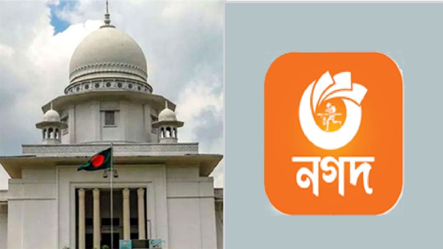 Supreme Court Supports Supervising Administrator  in Nagad Case