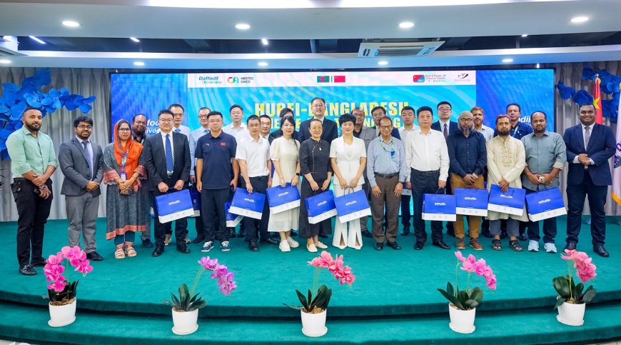 Hubei–Bangladesh Collaboration: Science and Innovation Synergy Spotlighted