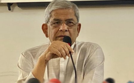 BNP Bemoans Bias in Draft Telecom Policy