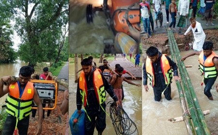 BTRC Backs Backup Power to Maintain Mobile Networks Amid Floods