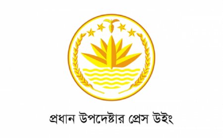 Bodies of 7 Children Remain Unidentified; To Be Handed Over After DNA Testing