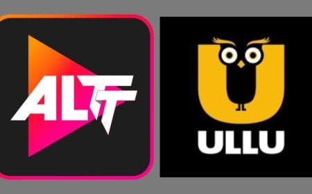 India Imposes Ban on 25 Streaming Platforms Over “Obscene” Content