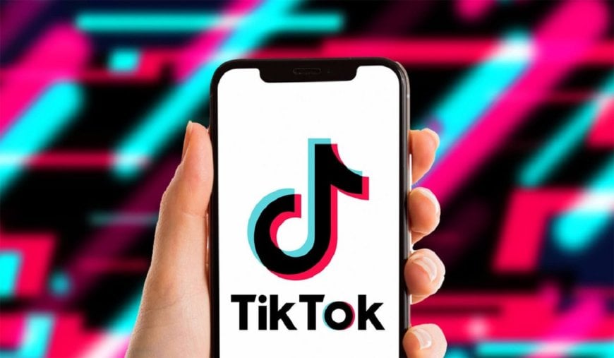 ইন্দোনেশিয়ায় টিকটকের নিবন্ধন স্থগিত