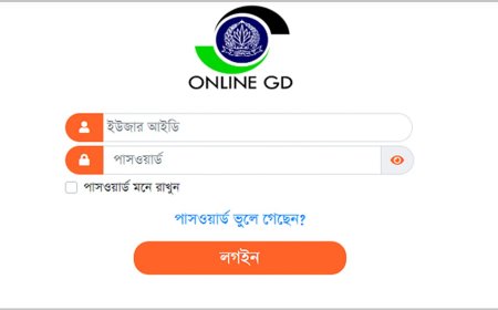 Technical Trouble Temporarily Terminates Online GD Service